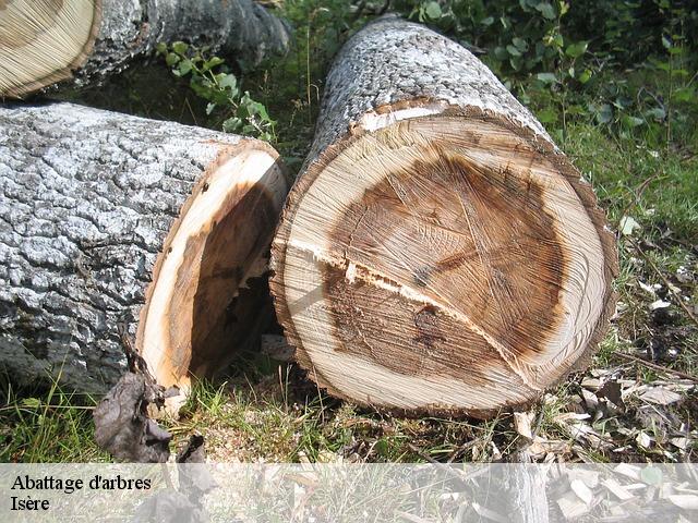 Abattage d'arbres Isère 