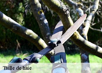 Taille de haie