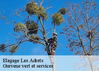 Elagage  les-adrets-38190 Gurvene vert et services