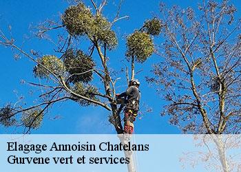 Elagage  annoisin-chatelans-38460 Gurvene vert et services