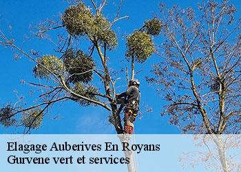 Elagage auberives-en-royans-38680 Gurvene vert et services