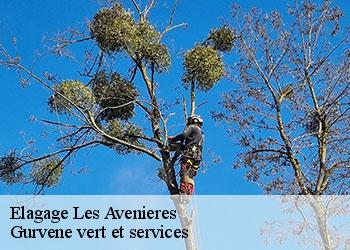 Elagage  les-avenieres-38630 Gurvene vert et services