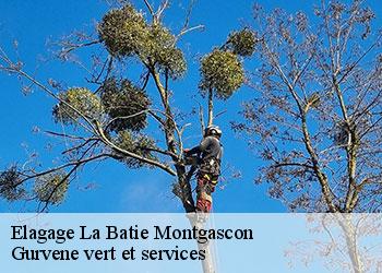 Elagage la-batie-montgascon-38110 Gurvene vert et services