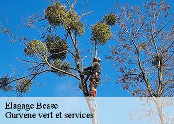 Elagage  besse-38142 Gurvene vert et services
