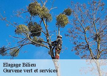 Elagage  bilieu-38850 Gurvene vert et services