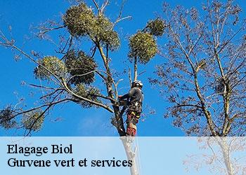 Elagage biol-38690 Gurvene vert et services