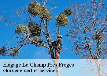 Elagage  le-champ-pres-froges-38190 Gurvene vert et services