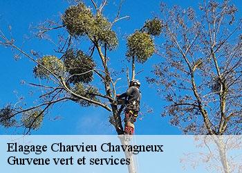 Elagage  charvieu-chavagneux-38230 Gurvene vert et services
