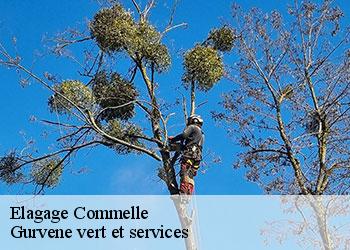 Elagage  commelle-38260 Gurvene vert et services
