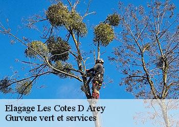 Elagage  les-cotes-d-arey-38138 Gurvene vert et services