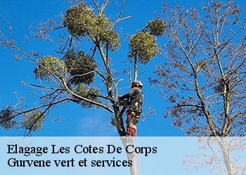 Elagage  les-cotes-de-corps-38970 Gurvene vert et services