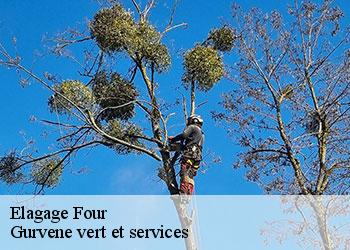 Elagage  four-38080 Gurvene vert et services