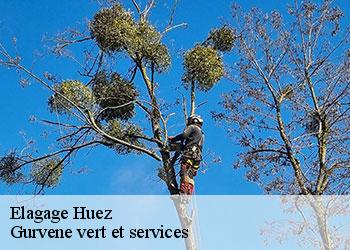 Elagage  huez-38750 Gurvene vert et services