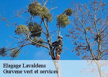 Elagage lavaldens-38350 Gurvene vert et services