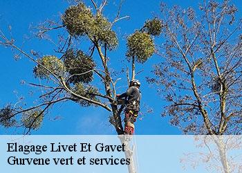 Elagage  livet-et-gavet-38220 Gurvene vert et services