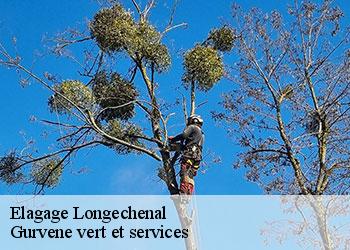 Elagage  longechenal-38690 Gurvene vert et services
