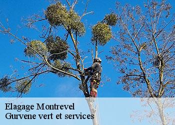 Elagage  montrevel-38690 Gurvene vert et services