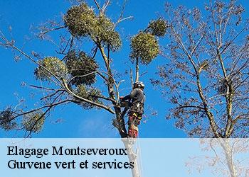 Elagage  montseveroux-38122 Gurvene vert et services