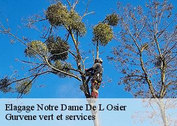 Elagage  notre-dame-de-l-osier-38470 Gurvene vert et services