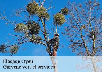Elagage oyeu-38690 Gurvene vert et services