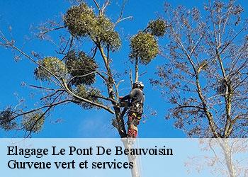 Elagage le-pont-de-beauvoisin-38480 Gurvene vert et services