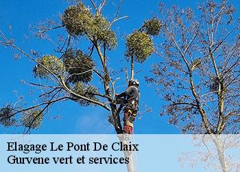 Elagage  le-pont-de-claix-38800 Gurvene vert et services