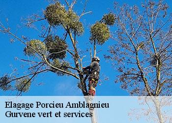 Elagage  porcieu-amblagnieu-38390 Gurvene vert et services
