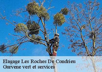 Elagage  les-roches-de-condrieu-38370 Gurvene vert et services