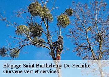 Elagage  saint-barthelemy-de-sechilie-38220 Gurvene vert et services