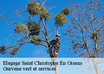 Elagage saint-christophe-en-oisans-38520 Gurvene vert et services
