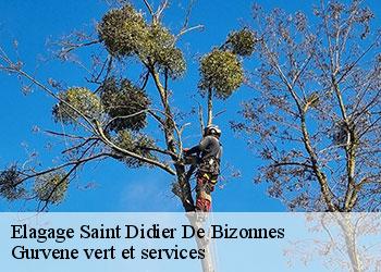 Elagage  saint-didier-de-bizonnes-38690 Gurvene vert et services