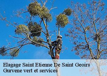 Elagage  saint-etienne-de-saint-geoirs-38590 Gurvene vert et services