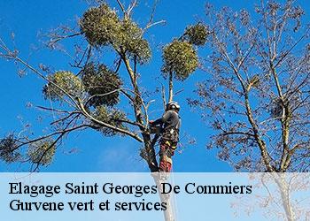 Elagage  saint-georges-de-commiers-38450 Gurvene vert et services