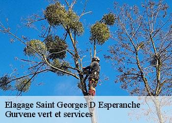 Elagage saint-georges-d-esperanche-38790 Gurvene vert et services
