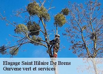 Elagage saint-hilaire-de-brens-38460 Gurvene vert et services