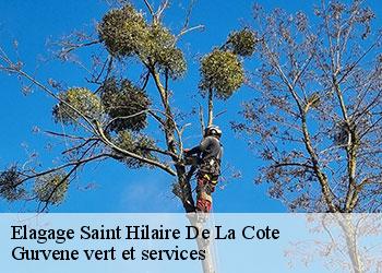 Elagage  saint-hilaire-de-la-cote-38260 Gurvene vert et services