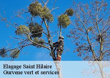 Elagage  saint-hilaire-38660 Gurvene vert et services