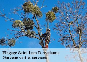 Elagage saint-jean-d-avelanne-38480 Gurvene vert et services