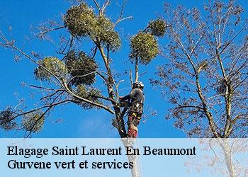 Elagage  saint-laurent-en-beaumont-38350 Gurvene vert et services