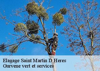 Elagage saint-martin-d-heres-38400 Gurvene vert et services