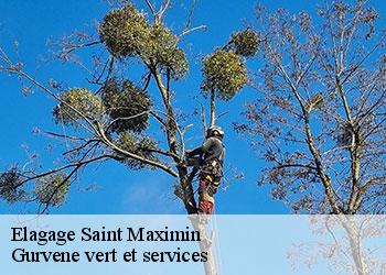 Elagage saint-maximin-38530 Gurvene vert et services
