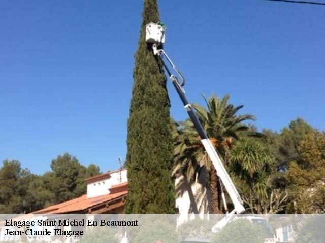 Elagage saint-michel-en-beaumont-38350 Jean-Claude Elagage