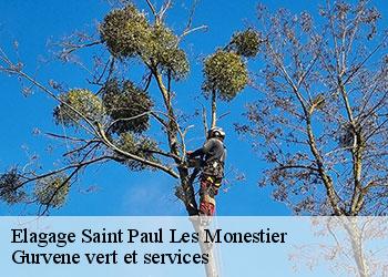 Elagage  saint-paul-les-monestier-38650 Gurvene vert et services