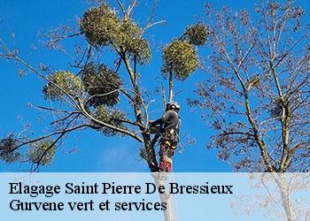 Elagage saint-pierre-de-bressieux-38870 Gurvene vert et services