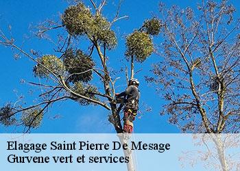 Elagage  saint-pierre-de-mesage-38220 Gurvene vert et services