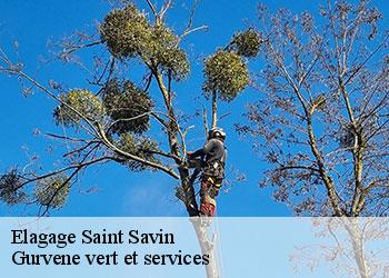 Elagage saint-savin-38300 Gurvene vert et services