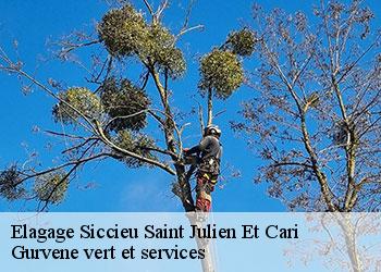 Elagage siccieu-saint-julien-et-cari-38460 Gurvene vert et services