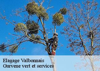 Elagage  valbonnais-38740 Gurvene vert et services