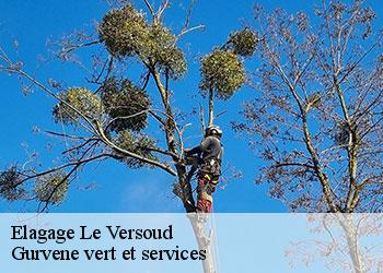 Elagage  le-versoud-38420 Gurvene vert et services