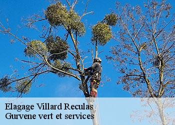 Elagage villard-reculas-38114 Gurvene vert et services